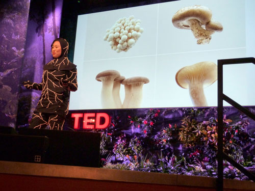 Jae Rhim Lee TED Talk