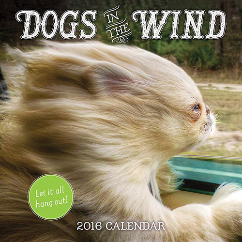 Dogs in the Wind