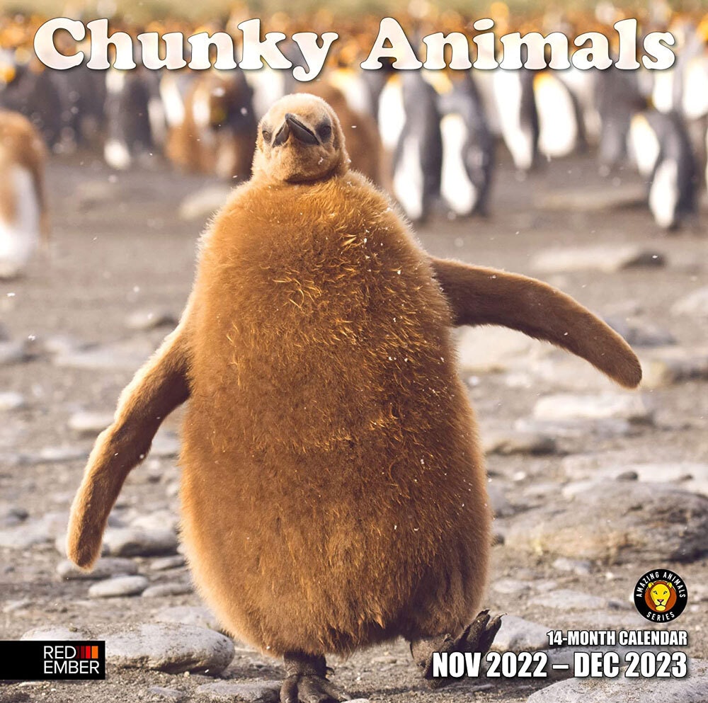 Chunky Animals