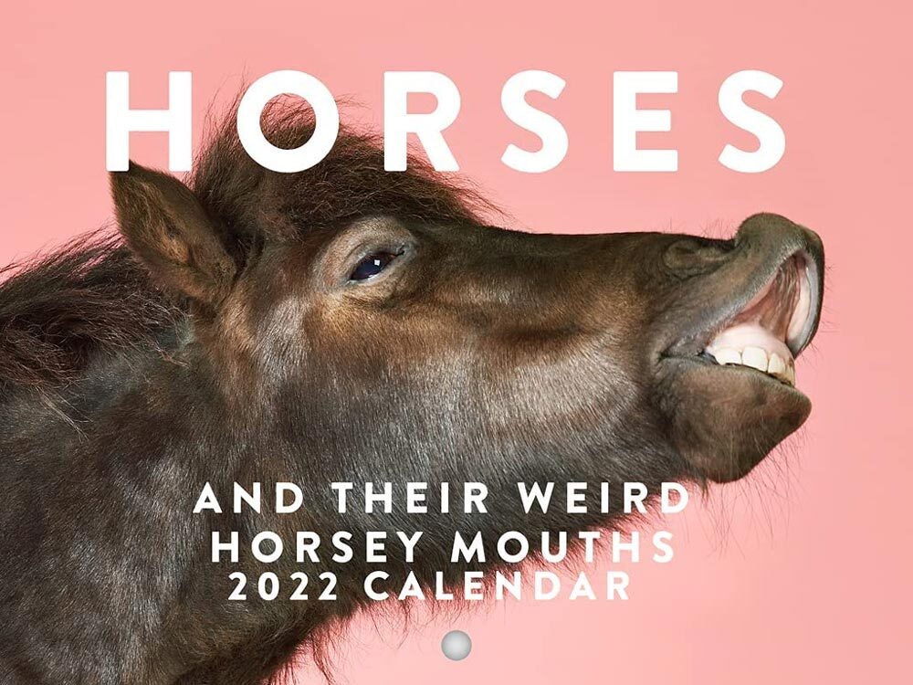 Horses Weird Mouths
