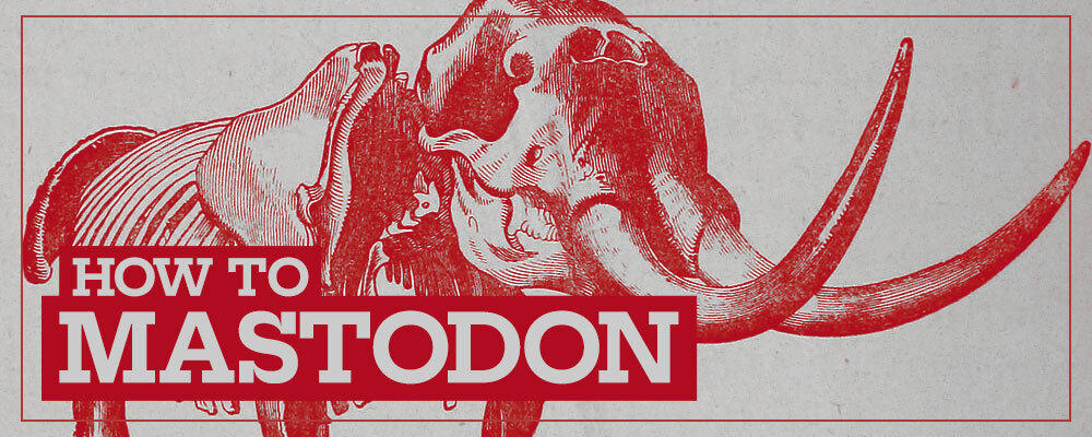 How To Mastodon: A Pop-Up Newsletter
