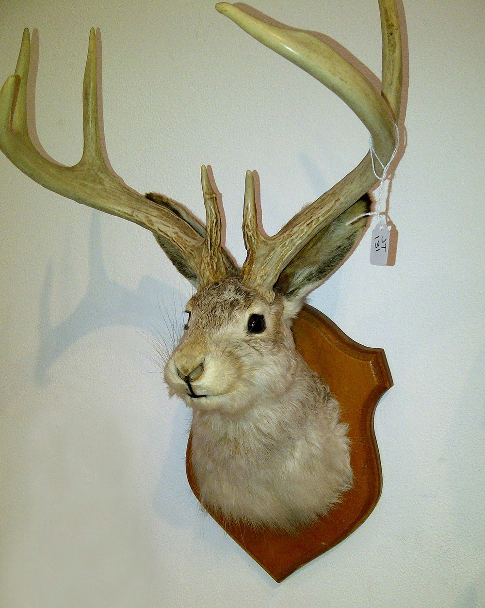 Jackalope Wall Decoration