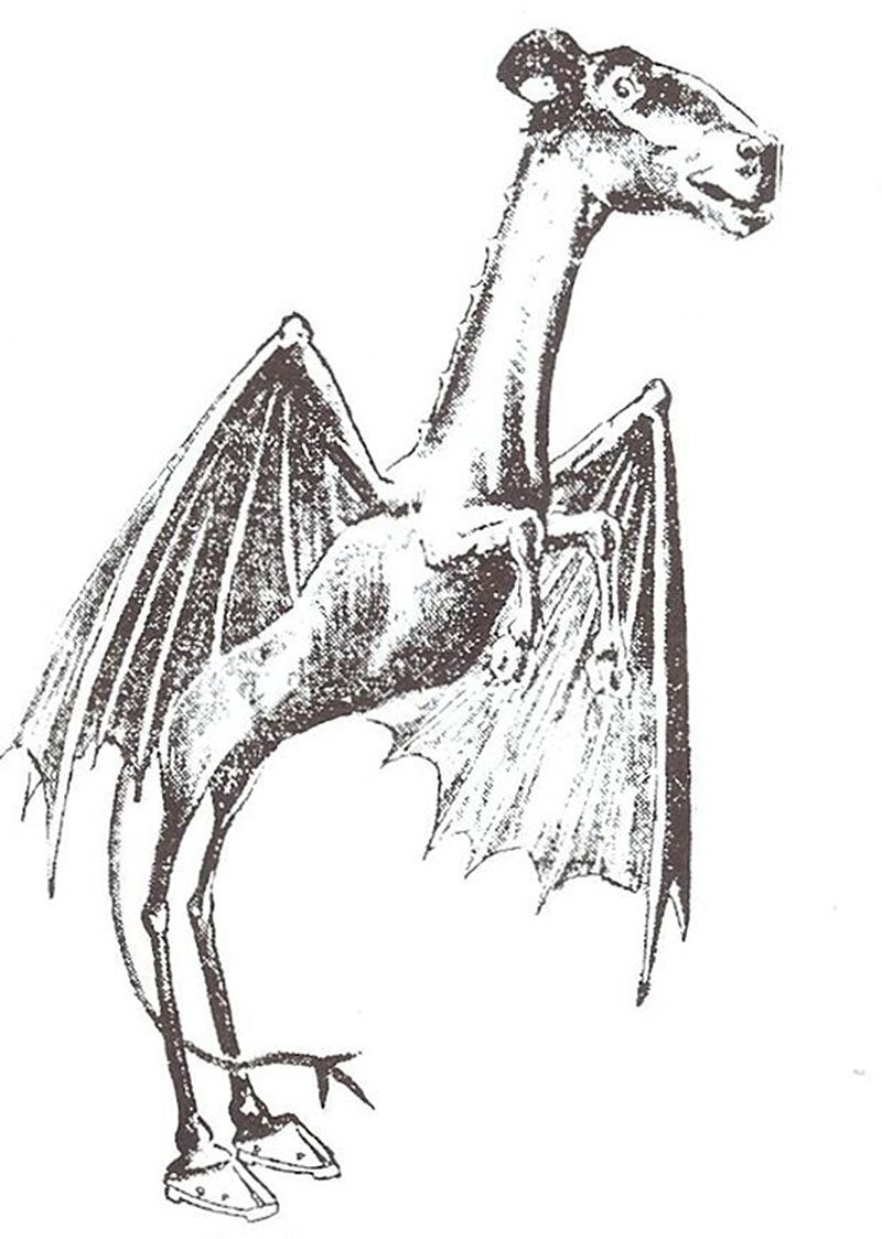 Jersey Devil Example