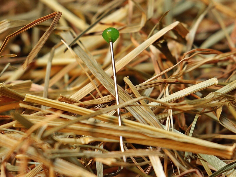 Needle Haystack